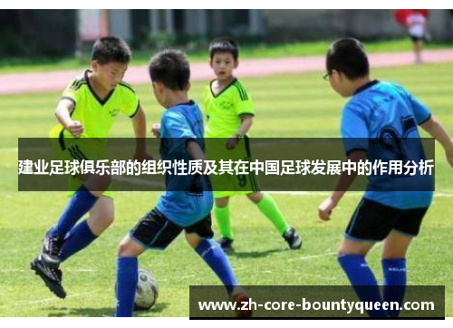 建业足球俱乐部的组织性质及其在中国足球发展中的作用分析