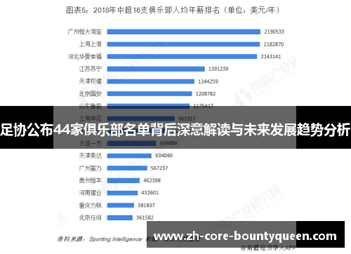 足协公布44家俱乐部名单背后深意解读与未来发展趋势分析 足协公布44家俱乐部名单背后深意解读与未来发展趋势分析
