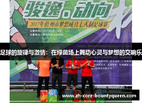 足球的旋律与激情：在绿茵场上舞动心灵与梦想的交响乐